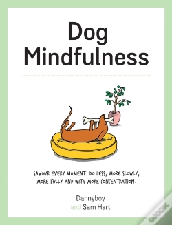 Capa do artigo Dog Mindfulness