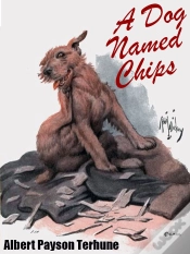 Capa do artigo Dog Named Chips