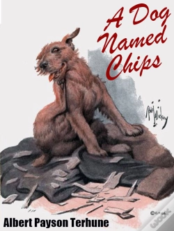 Capa do artigo Dog Named Chips
