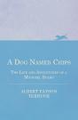 Dog Named Chips - The Life And Adventures Of A Mongrel Scamp - Preview