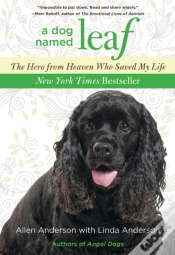 Capa do artigo Dog Named Leaf