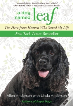 Capa do artigo Dog Named Leaf