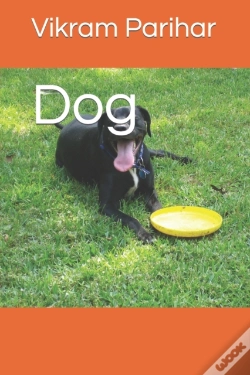 Capa do artigo Dog