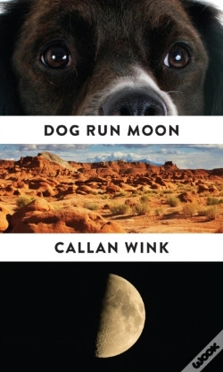 Capa do artigo Dog Run Moon