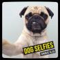 Dog Selfies - Preview
