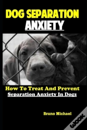Capa do artigo Dog Separation Anxiety