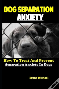 Capa do artigo Dog Separation Anxiety