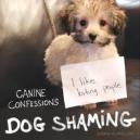 Dog Shaming