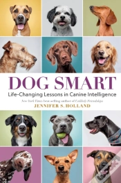 Capa do artigo Dog Smart