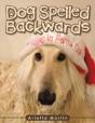 Dog Spelled Backwards - Preview