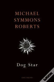 Capa do artigo Dog Star