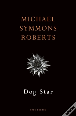 Capa do artigo Dog Star