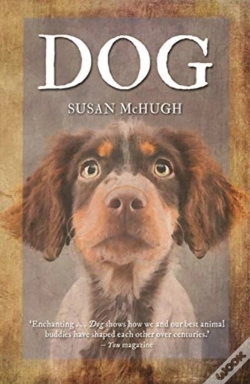 Capa do artigo Dog