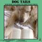 Dog Tails - Preview