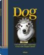 Dog - Preview