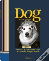 Capa do artigo Dog