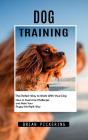 Dog Training - Preview