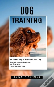 Capa do artigo Dog Training