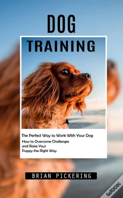 Capa do artigo Dog Training