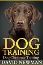 Dog Training - Preview