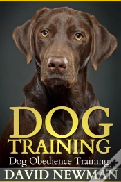 Capa do artigo Dog Training