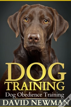 Capa do artigo Dog Training