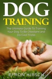 Capa do artigo Dog Training