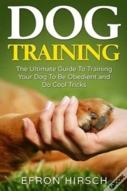 Capa do artigo Dog Training