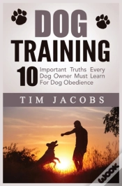 Capa do artigo Dog Training