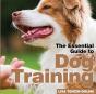 Dog Training - Preview