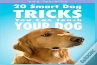 Dog Training