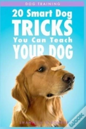 Capa do artigo Dog Training