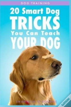 Capa do artigo Dog Training