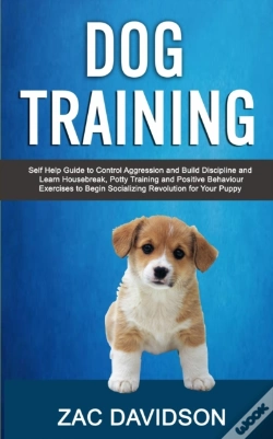 Capa do artigo Dog Training