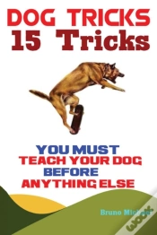 Capa do artigo Dog Tricks