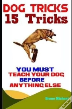 Capa do artigo Dog Tricks