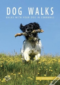 Capa do artigo Dog Walks In Cornwall