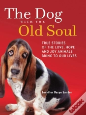 Capa do artigo Dog With The Old Soul