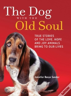 Capa do artigo Dog With The Old Soul