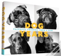 Dog Years