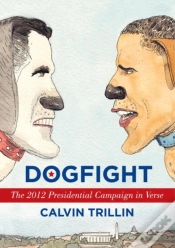 Capa do artigo Dogfight