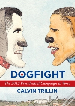 Capa do artigo Dogfight