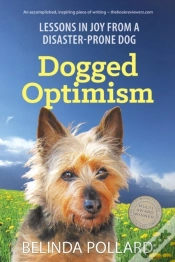 Capa do artigo Dogged Optimism