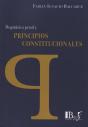Dogmatica Penal Y Principios Constitucionales  - Preview
