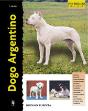 Dogo Argentino - Preview