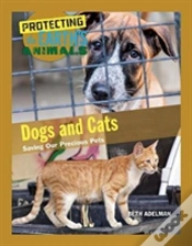 Capa do artigo Dogs And Cats