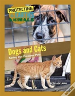 Capa do artigo Dogs And Cats