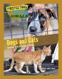 Dogs And Cats - Preview