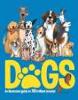 Dogs - Preview