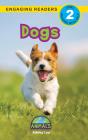 Dogs - Preview